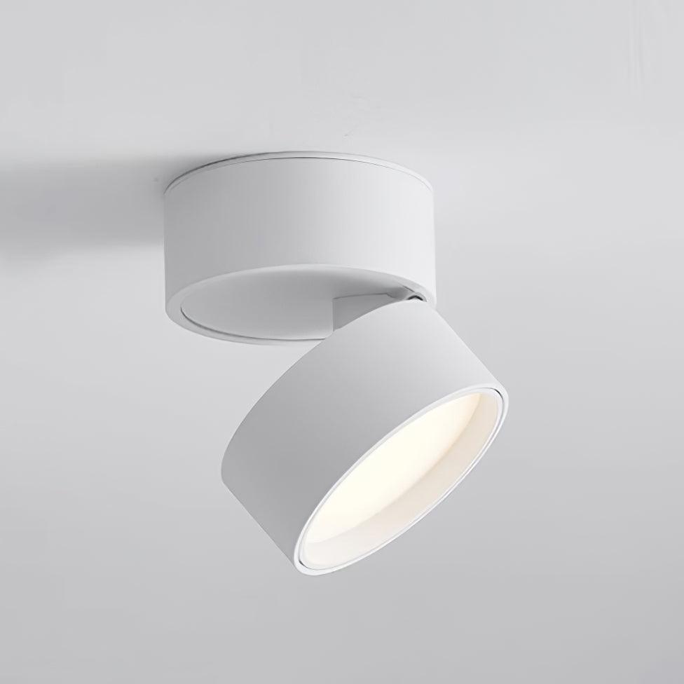 LuminaCraft | Elegant Adjustable LED Surface Ceiling Lamp 9