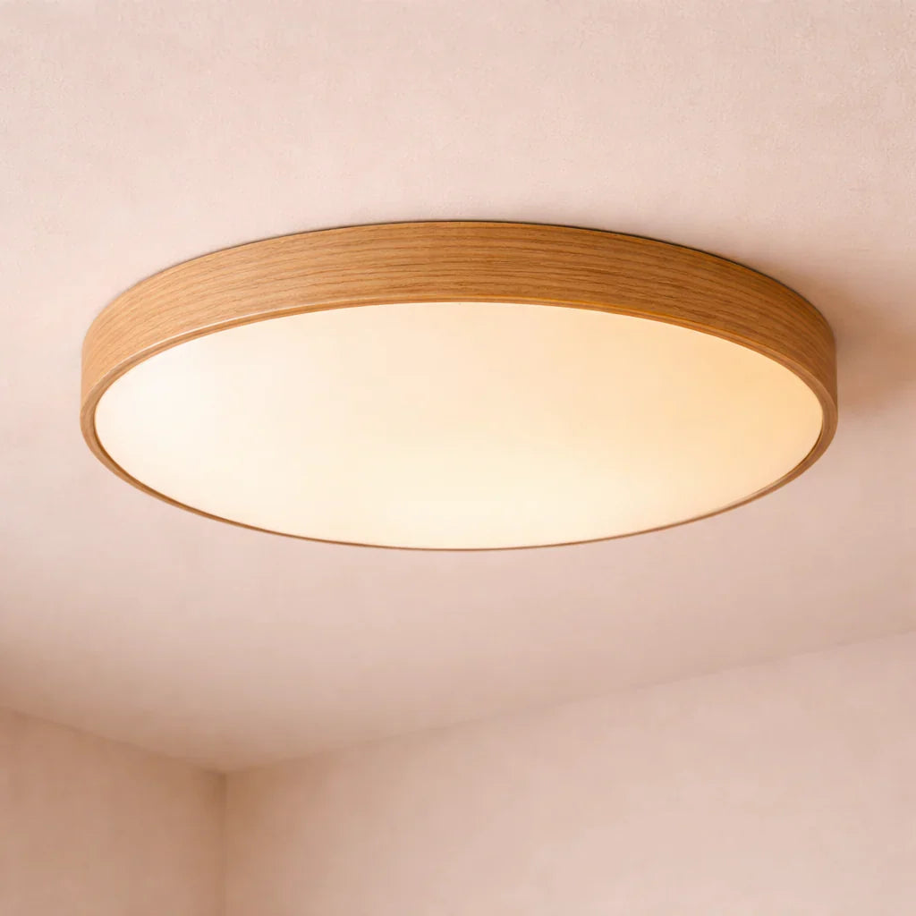 Ceiling Lights