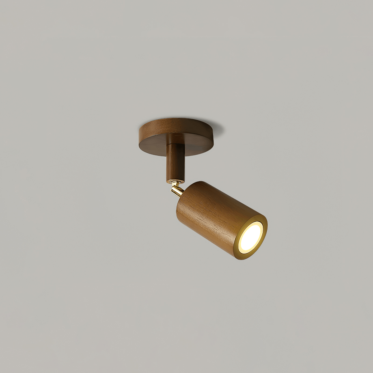 Solara Ceiling Lamp - 1 Head