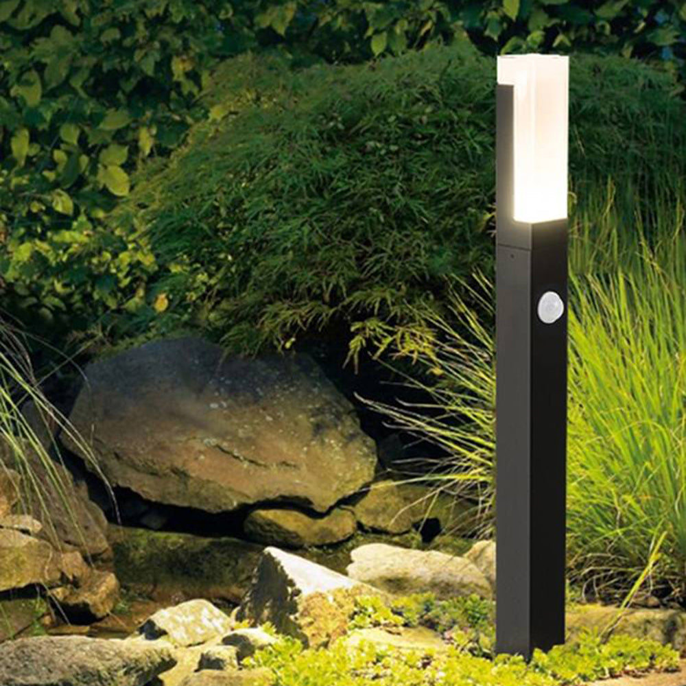 Pena Path Light