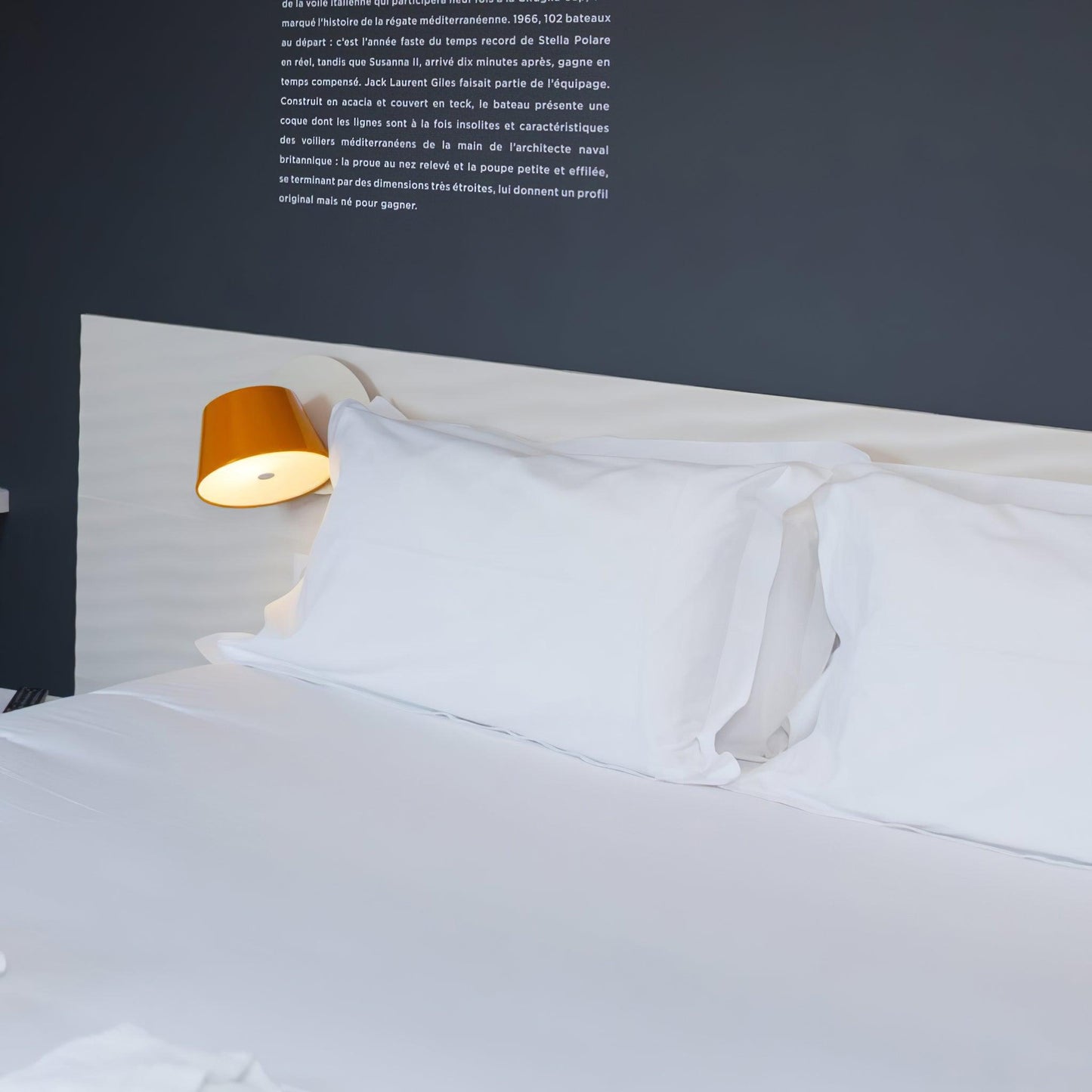 Dual Shade Wall Lamp | Metal Wall Lights with Adjustable Brightness | Modern Design for Versatile Spaces 3
