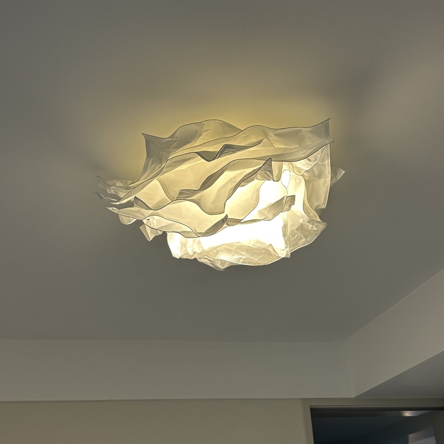 Elegant Flower Flush Mount Ceiling Light Fixture with Easy Assembly | Perfect Indoor Illumination for Living Room and Bedroom 0