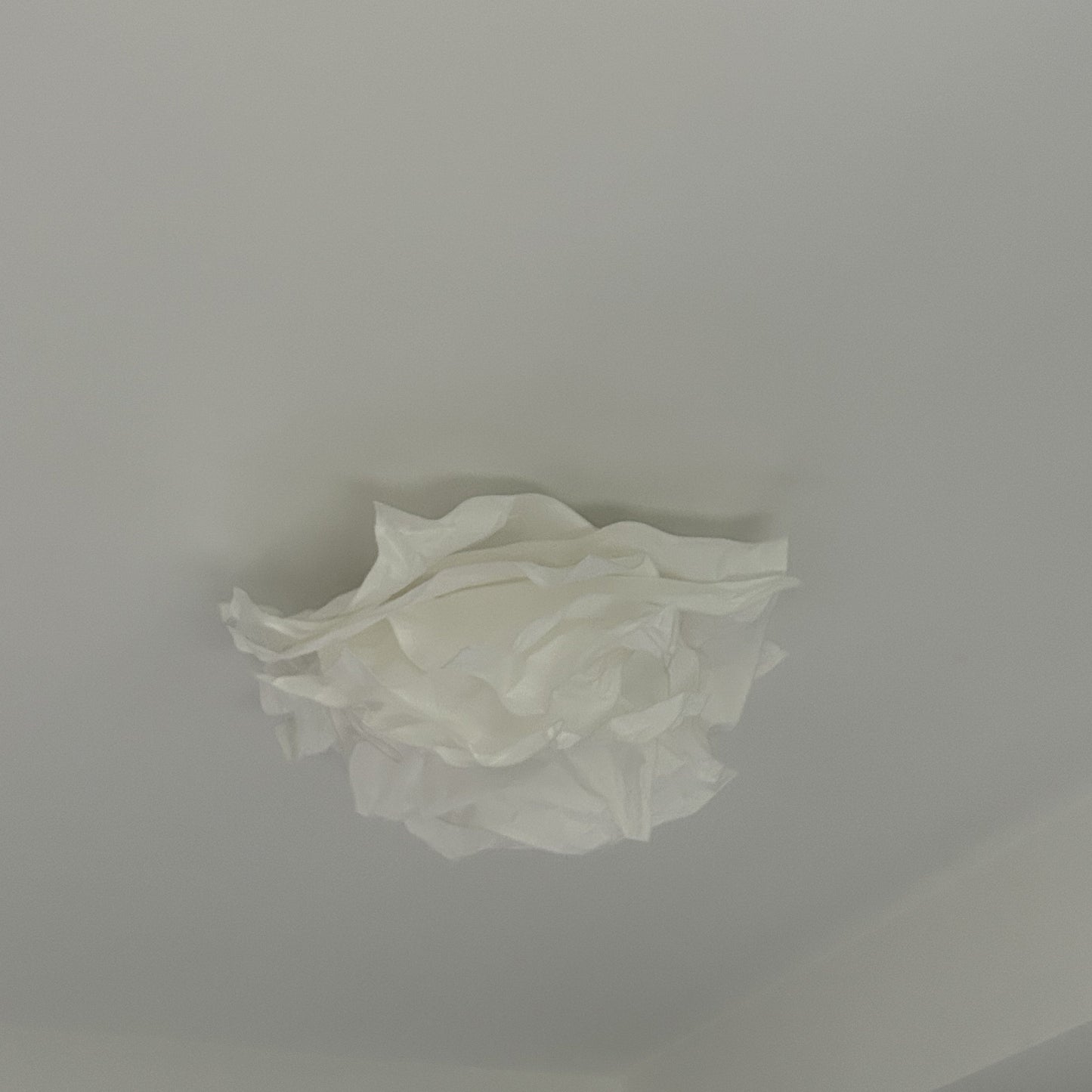 Elegant Flower Flush Mount Ceiling Light Fixture with Easy Assembly | Perfect Indoor Illumination for Living Room and Bedroom 4