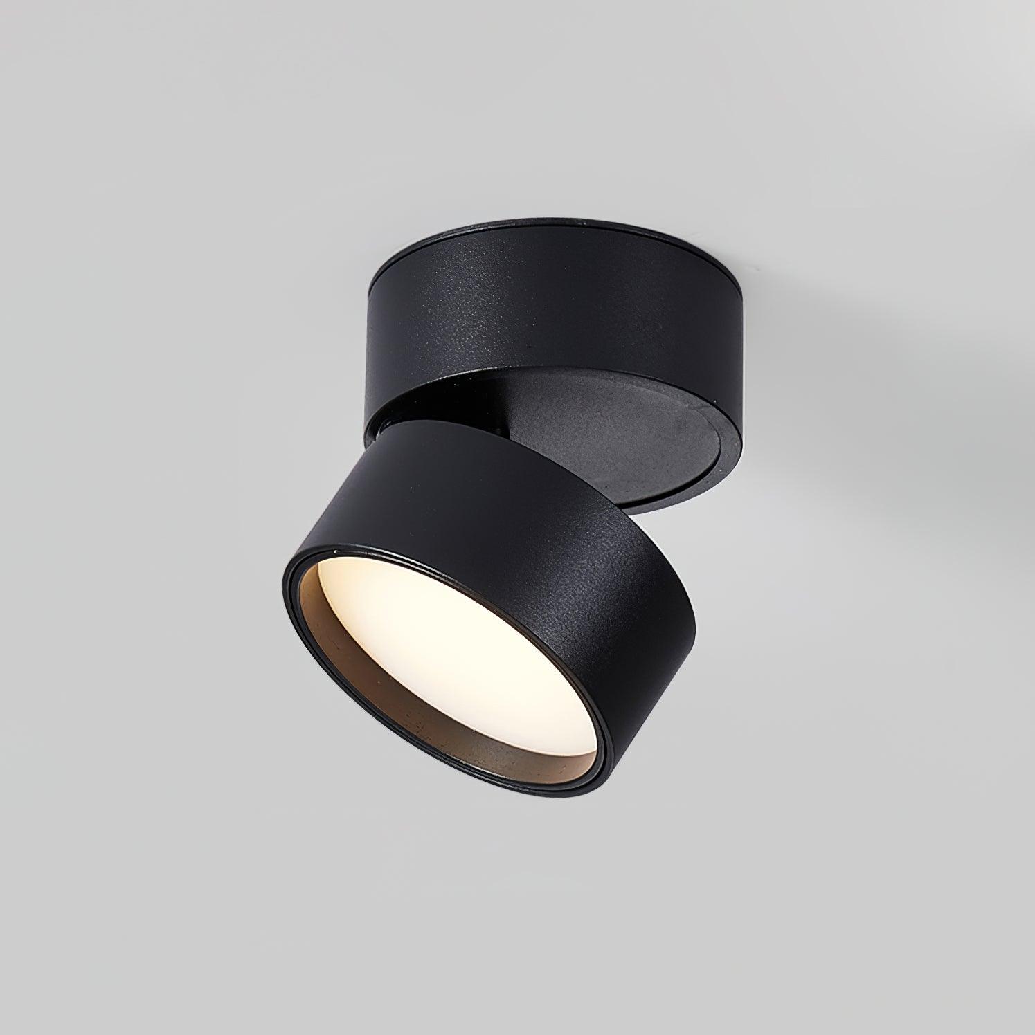 Favilla | Stylish Adjustable LED Surface Ceiling Light Fixture 0