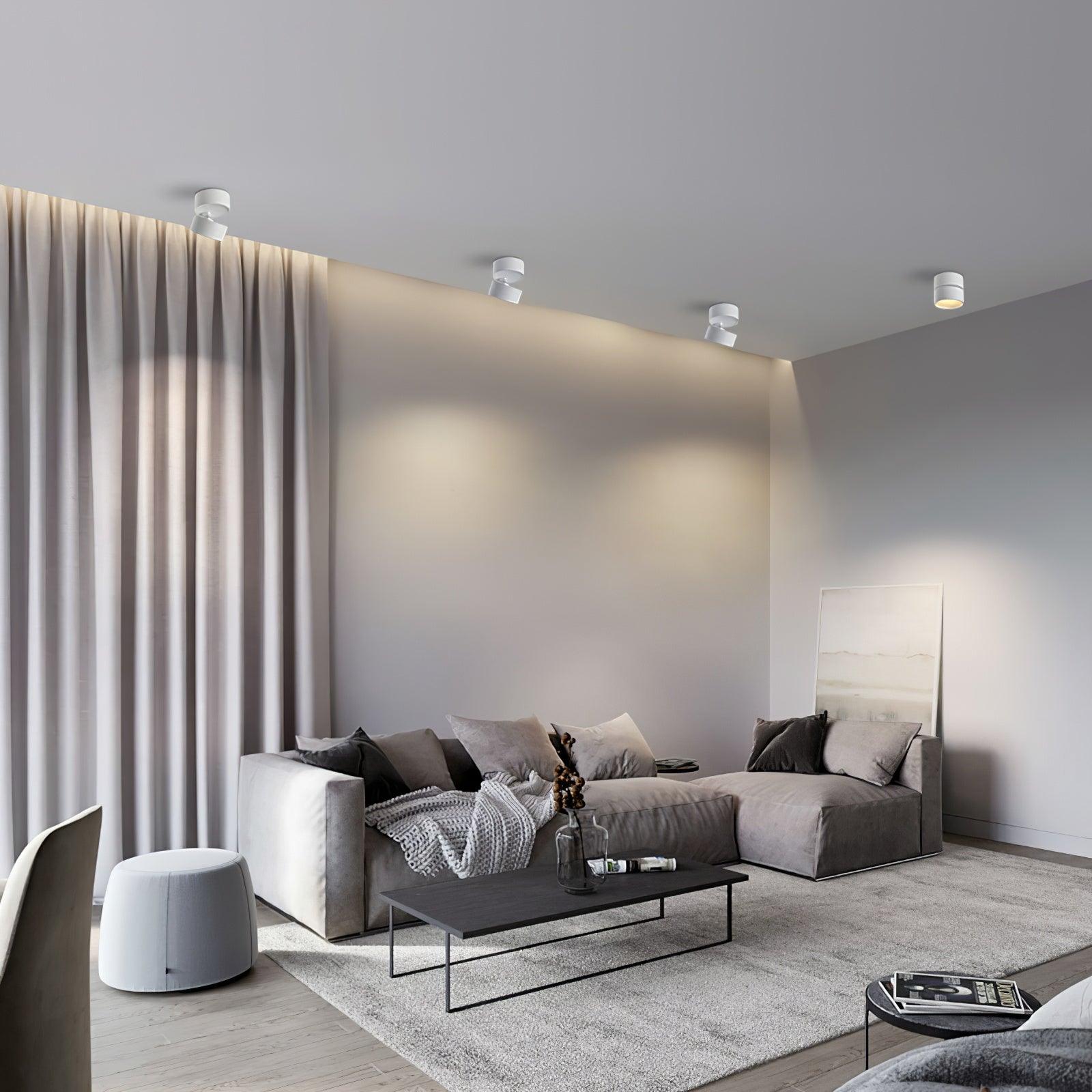 Favilla | Stylish Adjustable LED Surface Ceiling Light Fixture 4