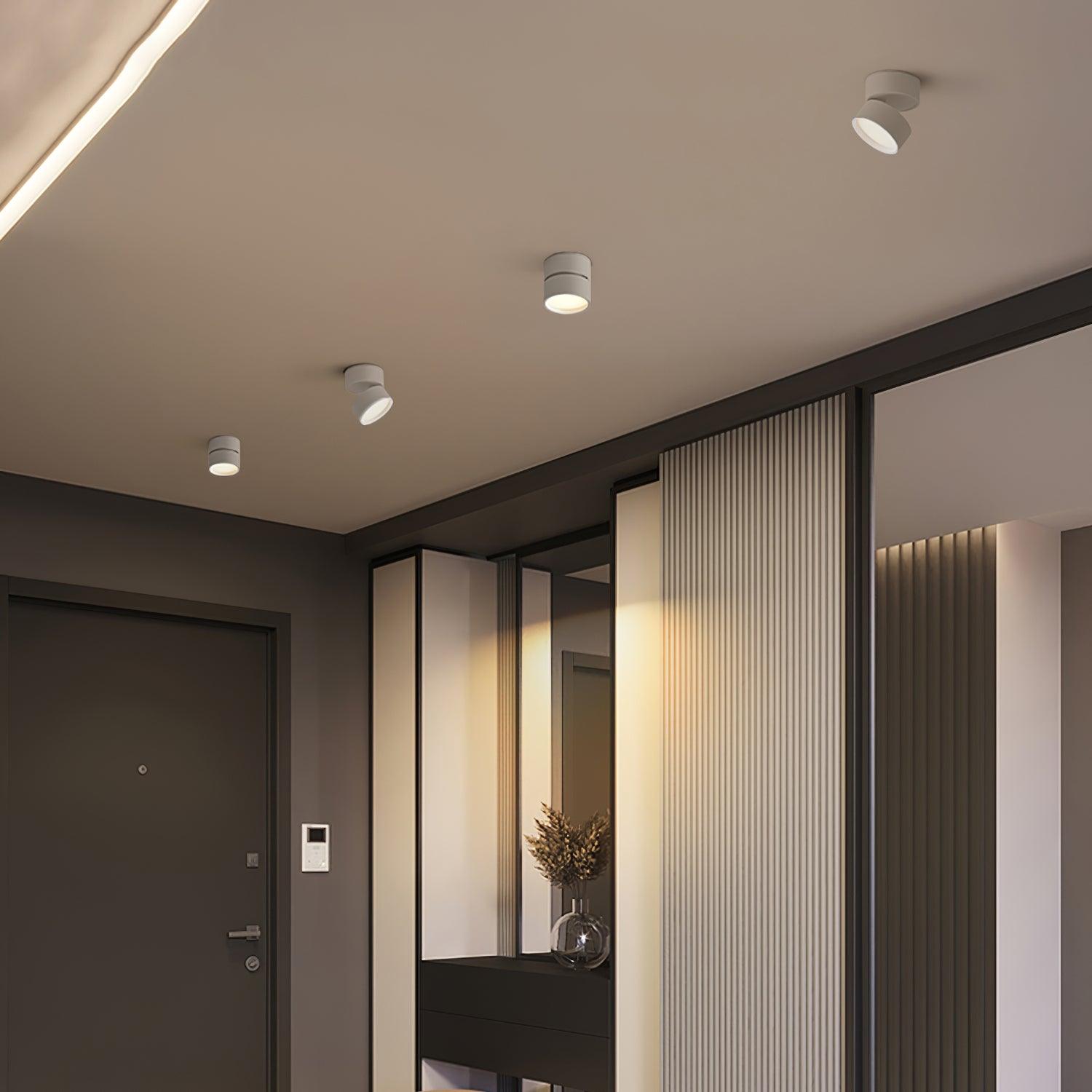 Favilla | Stylish Adjustable LED Surface Ceiling Light Fixture 5