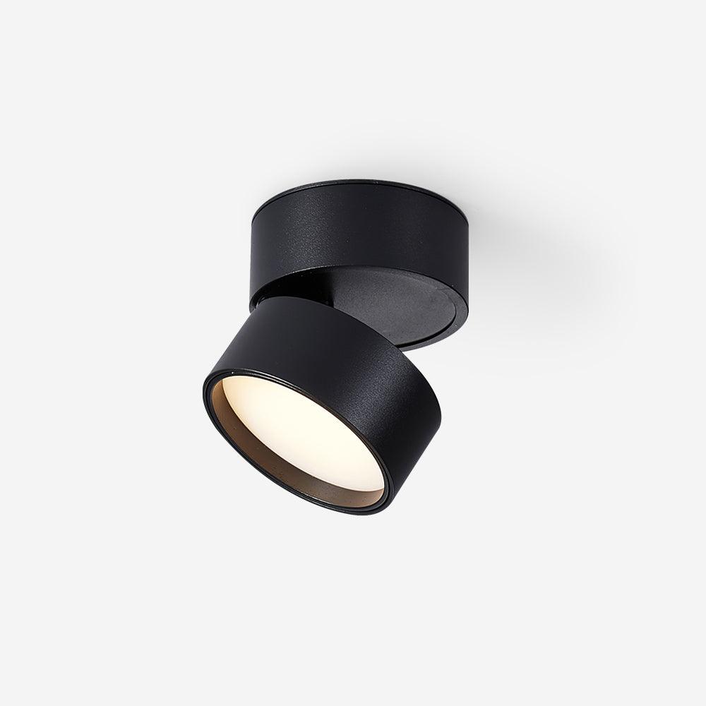 Favilla | Stylish Adjustable LED Surface Ceiling Light Fixture 6