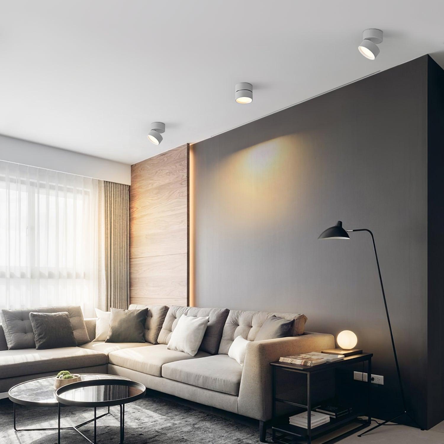Favilla | Stylish Adjustable LED Surface Ceiling Light Fixture 7