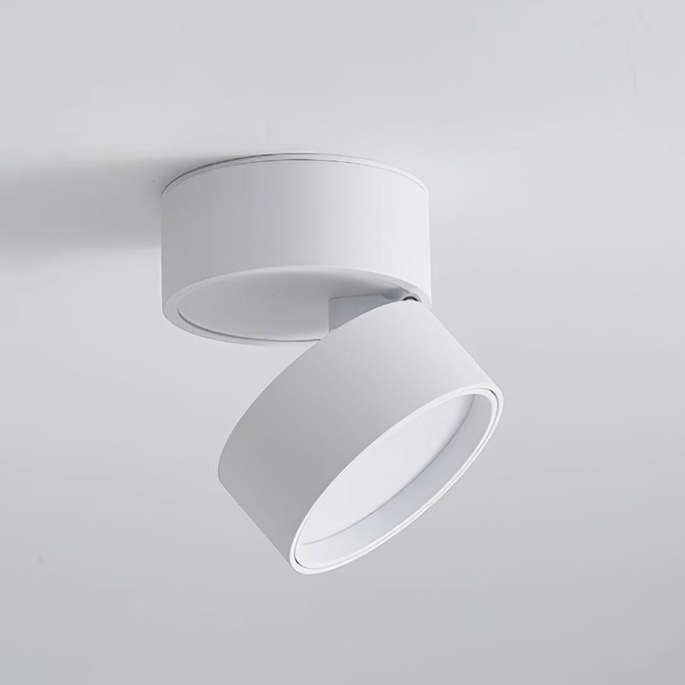 Favilla | Stylish Adjustable LED Surface Ceiling Light Fixture 9