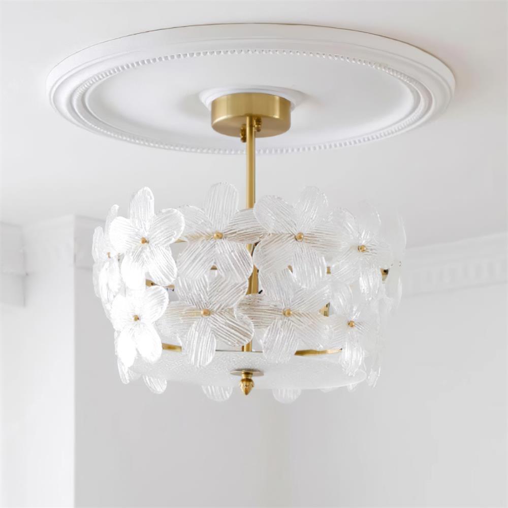 Fionel | Ceiling Light Fixture with Brass Canopy & Clear Glass Design | Elegant Illumination for Any Space 0