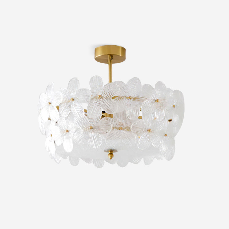 Fionel | Ceiling Light Fixture with Brass Canopy & Clear Glass Design | Elegant Illumination for Any Space 1