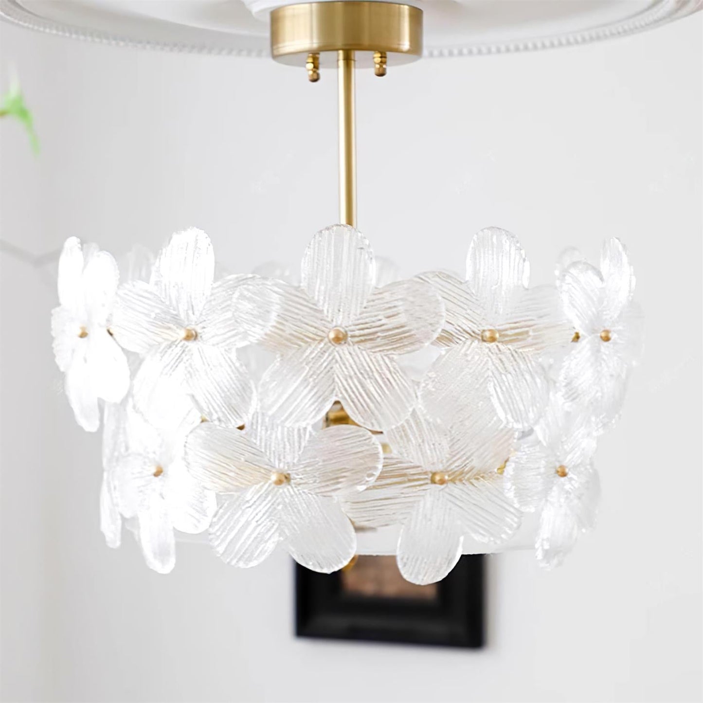 Fionel | Ceiling Light Fixture with Brass Canopy & Clear Glass Design | Elegant Illumination for Any Space 2