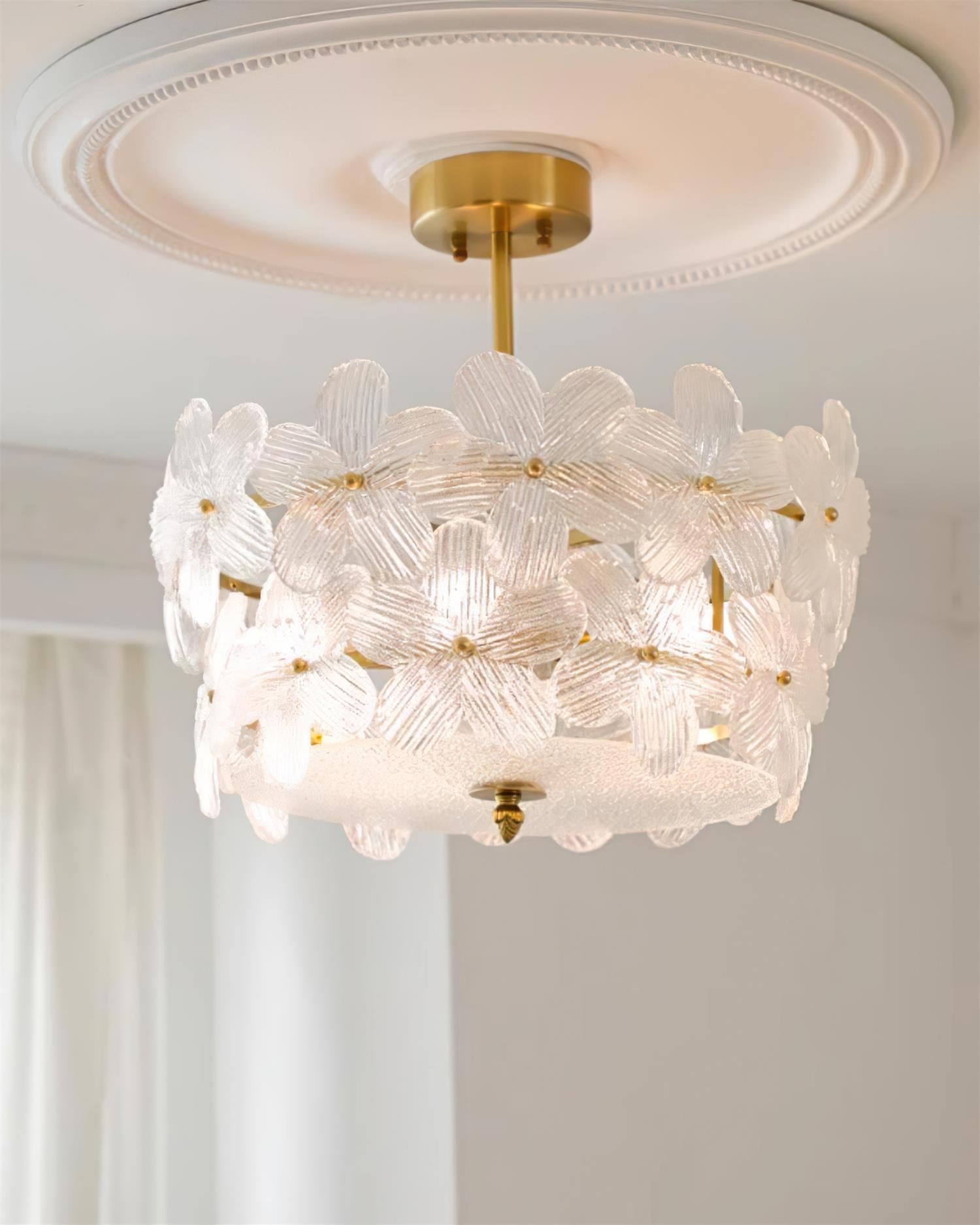 Fionel | Ceiling Light Fixture with Brass Canopy & Clear Glass Design | Elegant Illumination for Any Space 3