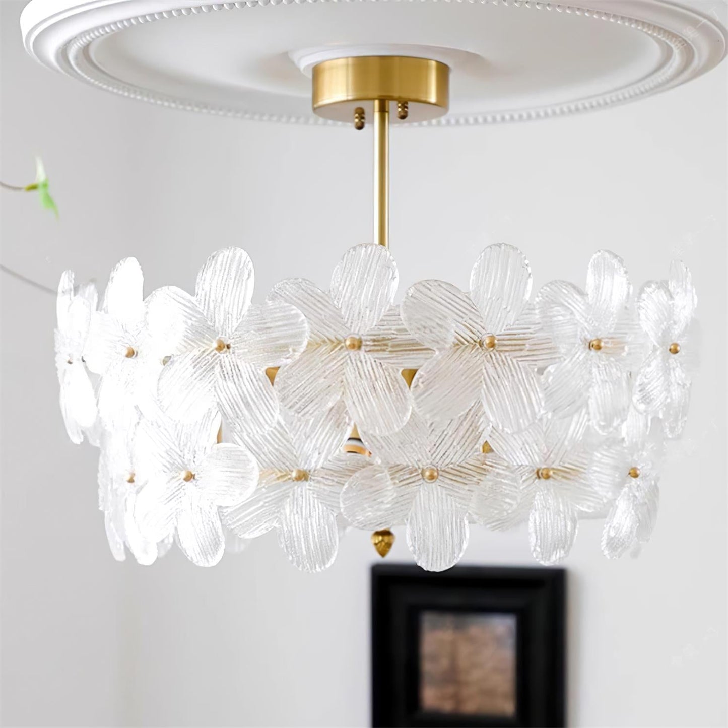 Fionel | Ceiling Light Fixture with Brass Canopy & Clear Glass Design | Elegant Illumination for Any Space 4