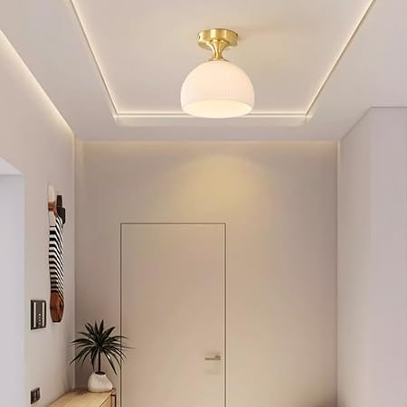 Lunaris | Elegant Soft White Glass Modern Ceiling Lamp 1