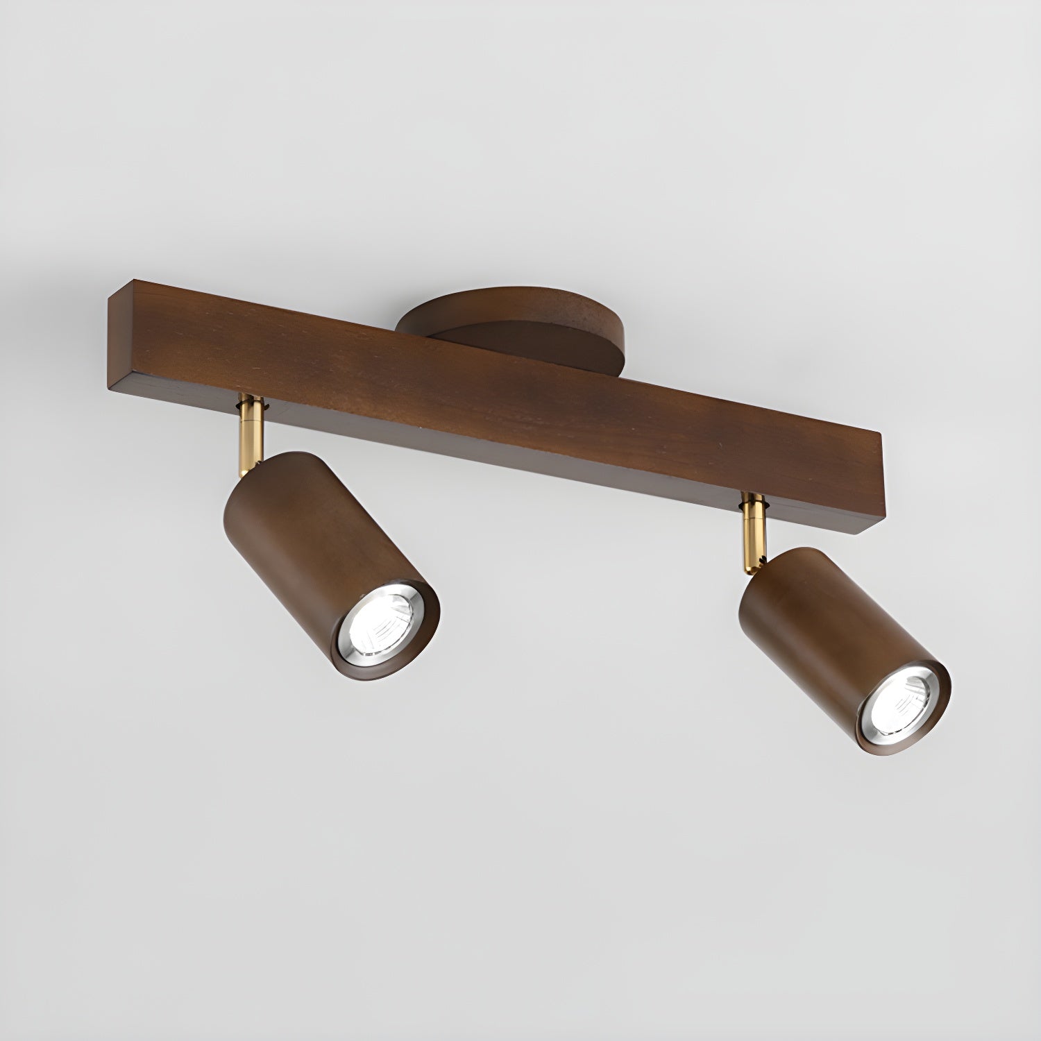 Solara Ceiling Lamp - 2 Heads