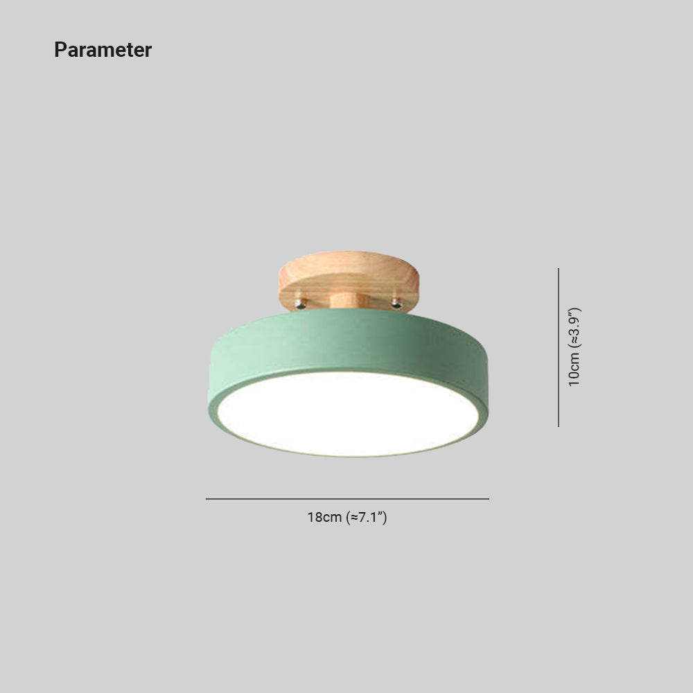 Naturalis | Elegant Minimalist Flush Mount Ceiling Light Fixture 4