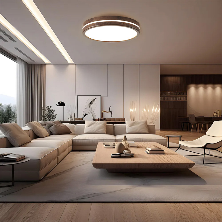 Naturalis | Elegant Minimalist Flush Mount Ceiling Light in Wood and Acrylic 4