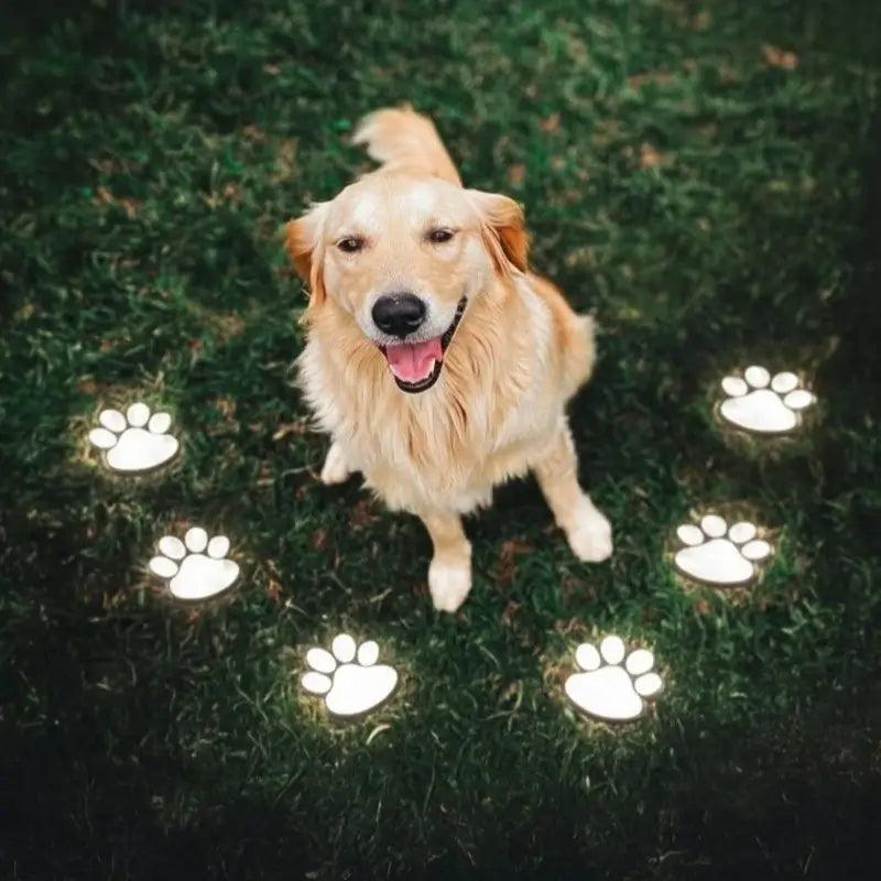 PawGlow | Solar Garden Lights with Dusk Sensor & Warm Glow | Outdoor Illumination for Pathways 0
