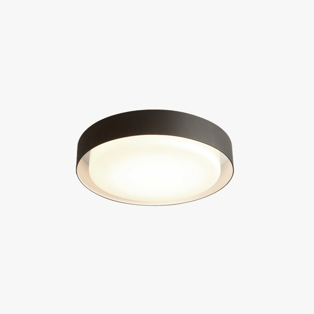 Ray Collection | Modern Flush Mount Ceiling Light with Elegant Design | Durable LED Fixture for Indoor and Outdoor Use 1