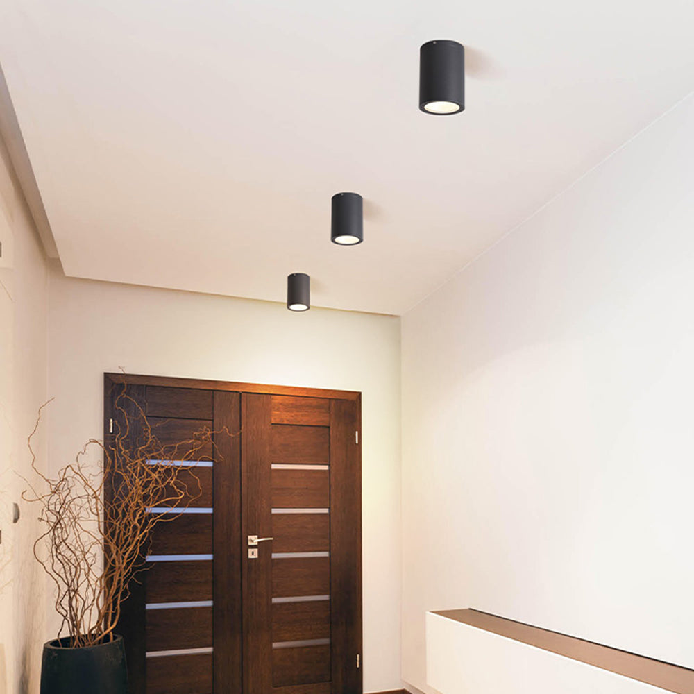 Ray Collection | Outdoor Ceiling Light with Customizable Colors | Durable Exterior Lighting for Patios and Pathways 4