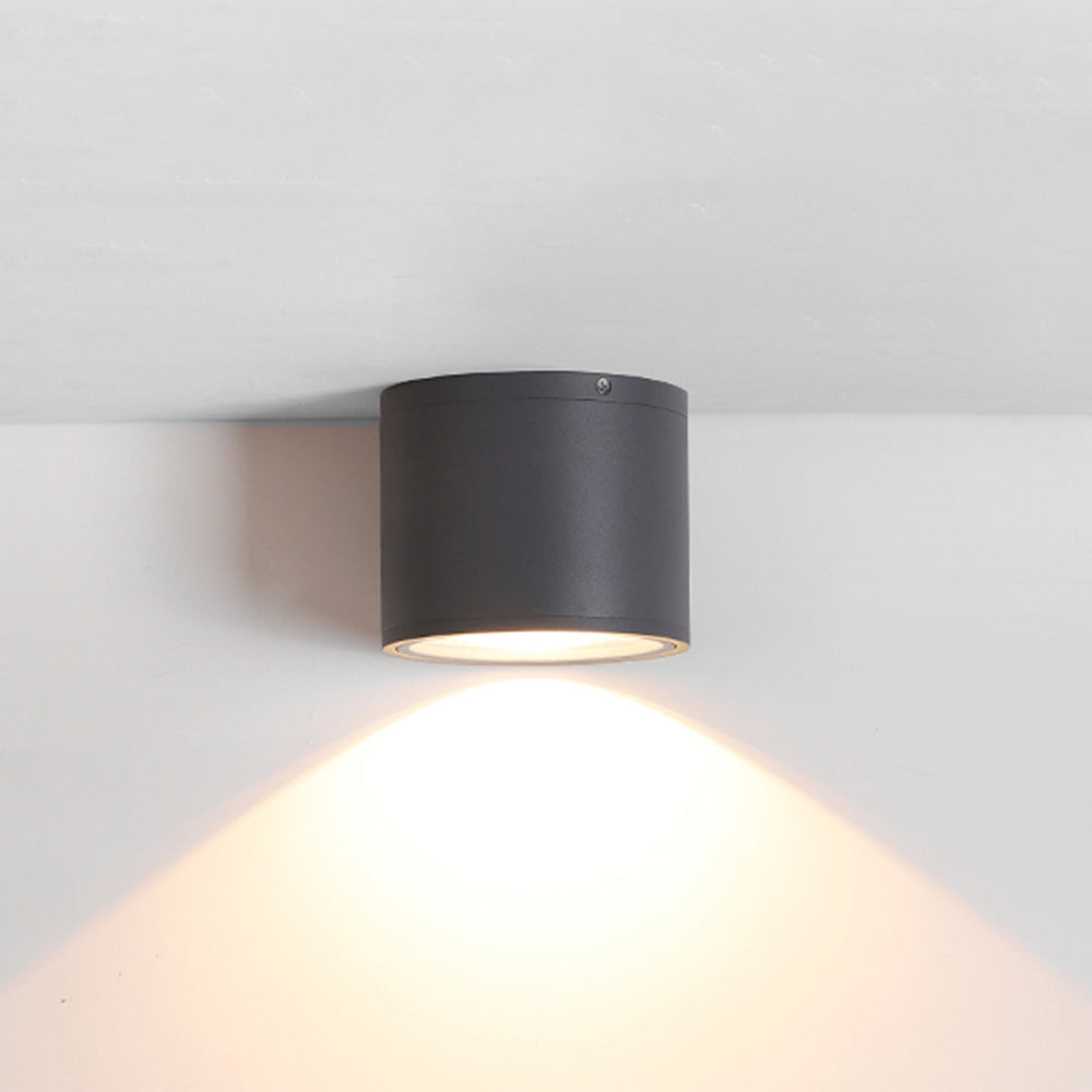 Ray Collection | Outdoor Ceiling Light with Customizable Colors | Durable Exterior Lighting for Patios and Pathways 6