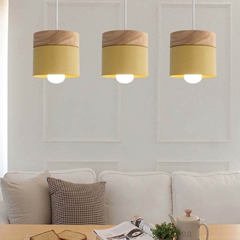 Morandi Can Shape Pendant Light